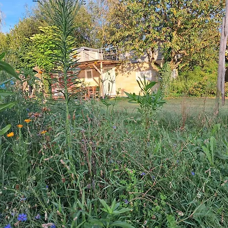Modernes Tiny House Rheinwald Rheinau